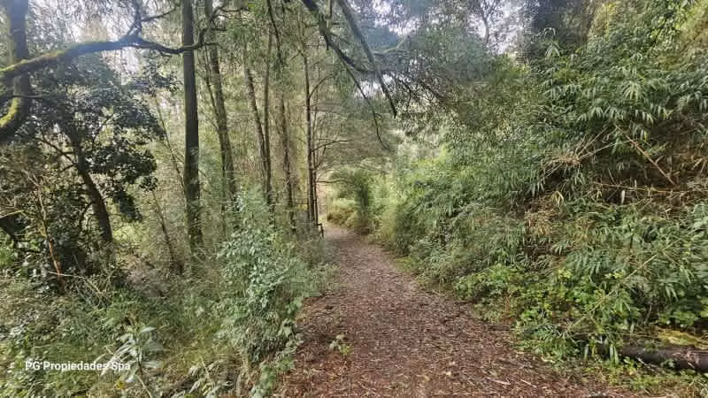Sitio PUNUCAPA