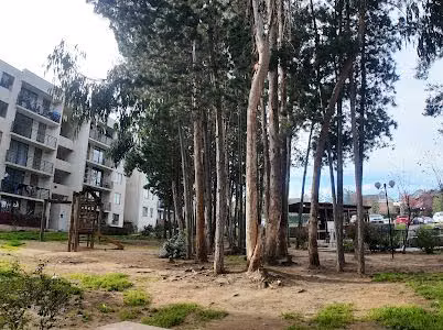 Departamento en arriendo (117932)