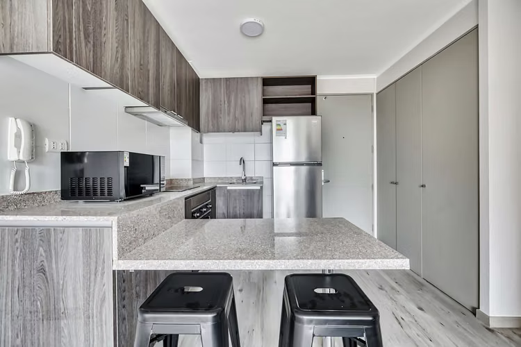 Vicuña Urban [1322-16] - Imagen 3