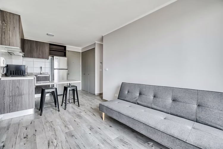 Vicuña Urban [1322-16] - Imagen 5