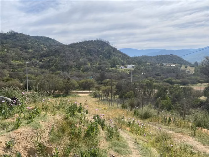 SITIO PARCELA DE 20.000 M2 CAMINO EL TORO CURACAVI