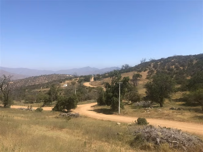 PARCELA PARCELA DE 20.000 M2 CAMINO EL TORO CURACAVI