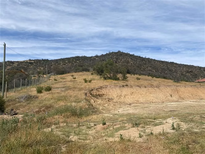 PARCELA PARCELA DE 20.000 M2 CAMINO EL TORO CURACAVI