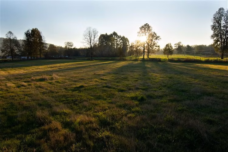 PARCELA HUELLAHUE/PANGUIPULLI/ PARCELAS PLANAS 5.000 M2