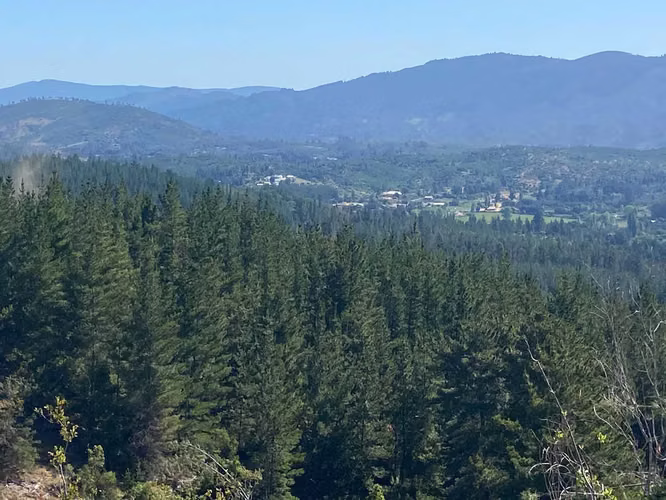 CAMPO FORESTAL /SUBDIVISIÓN / CAUQUENES (118357)