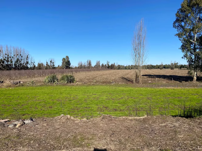 Linares acciones de agua terreno productivo (118355)