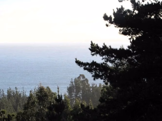 CARDONAL // 8 HECTÁREAS CON VISTA AL MAR (118351)
