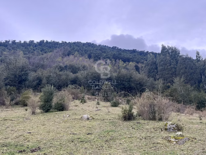 Parcela con vista privilegiada al Lago Ranco.