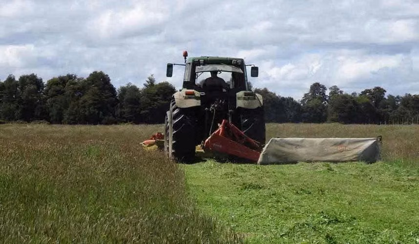Campo agrícola-ganadero de 44 hás sector Los Muermos