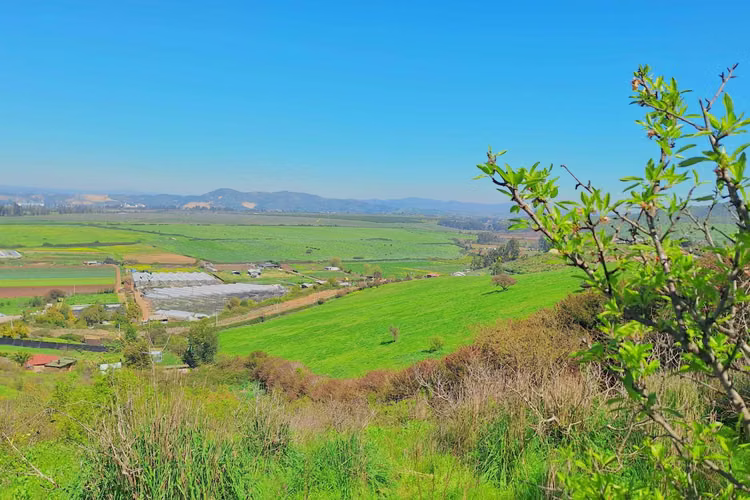 Terrenos con espectaculares vistas en Rauten (118383)