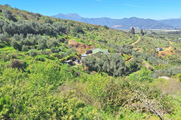 Terrenos con espectaculares vistas en Rauten (118383)