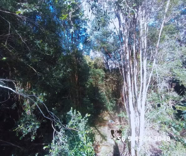 Se vende parcelas en la comuna de Chonchi, Chiloé