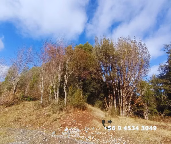 Se vende parcelas en la comuna de Chonchi, Chiloé