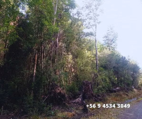 Se vende parcelas en la comuna de Chonchi, Chiloé