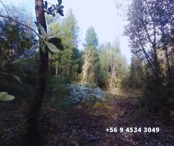 Se vende parcelas en la comuna de Chonchi, Chiloé