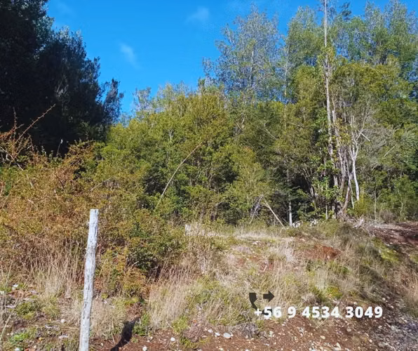 Se vende parcelas en la comuna de Chonchi, Chiloé