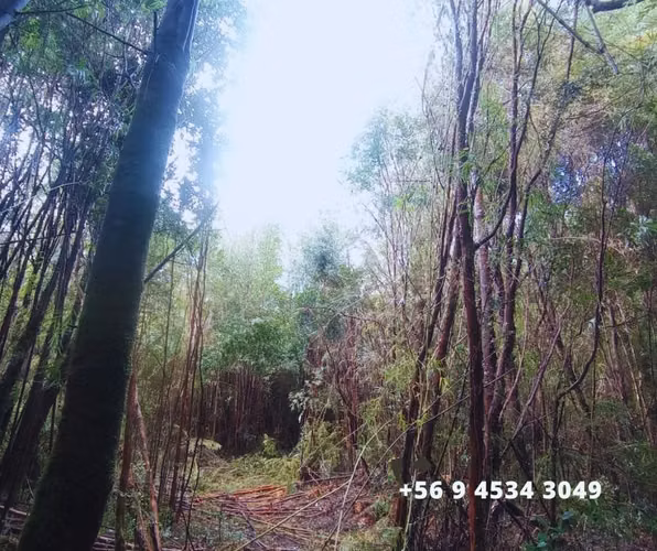 Se vende parcelas en la comuna de Chonchi, Chiloé