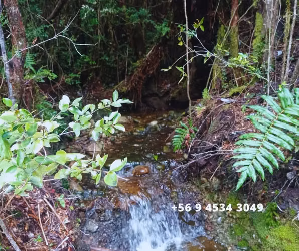 Se vende parcelas en la comuna de Chonchi, Chiloé