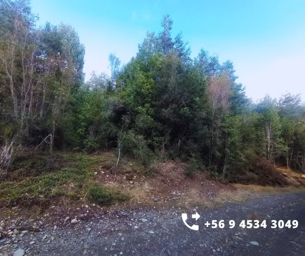 Se vende parcelas en la comuna de Chonchi, Chiloé