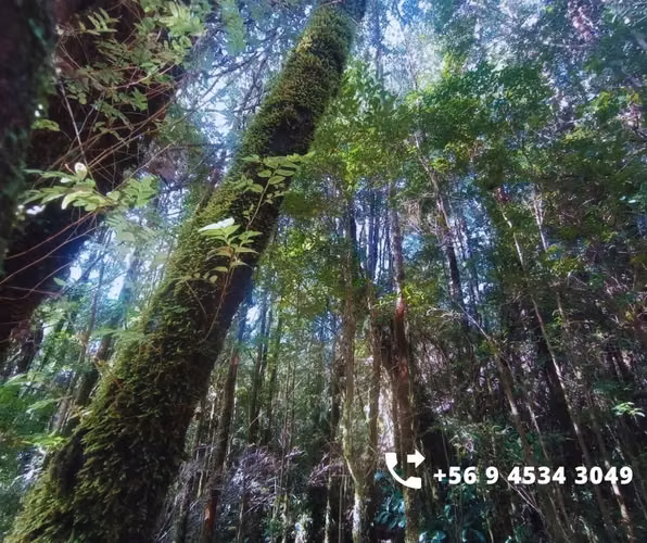 Se vende parcelas en la comuna de Chonchi, Chiloé