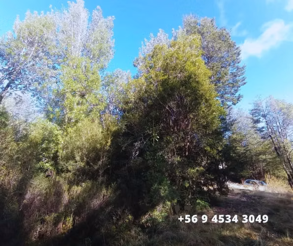 Se vende parcelas en la comuna de Chonchi, Chiloé
