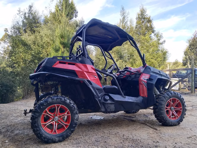 BUGGY
