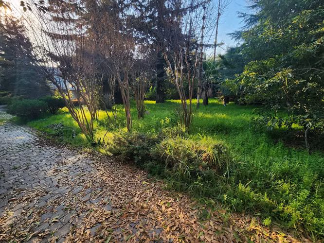 Sitio en venta Sector de los Dominicos Las Condes