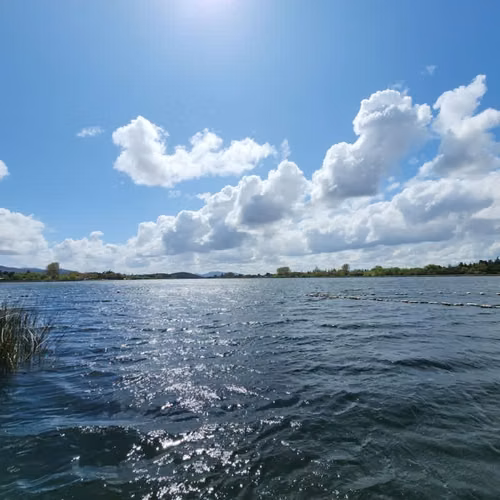 Parcela en Quillón: ¡Cerca de Laguna Avendaño!