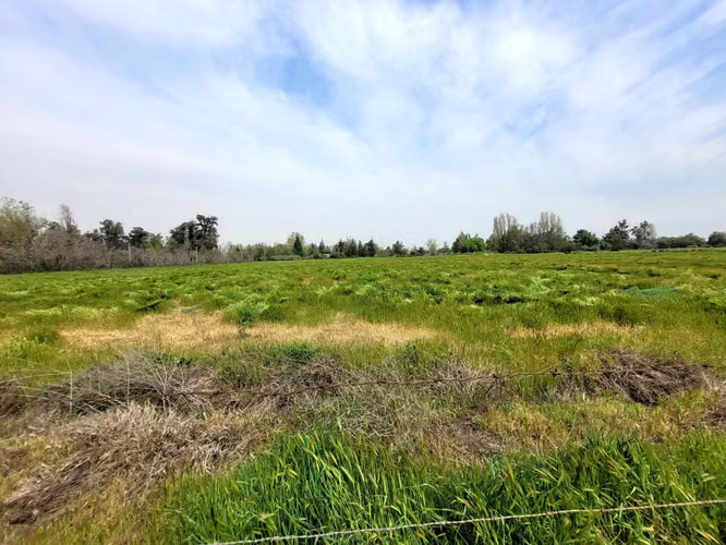 Terreno Urbano – Camino San José, Chicureo  (118674)