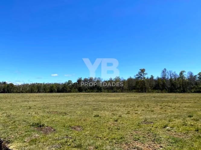 Parcelas en venta Villarrica, Chucauco