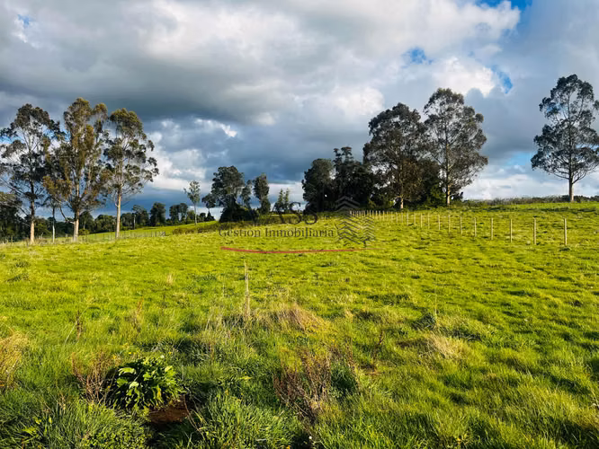 VASS vende parcela 5.000 m² en Hacienda Llanquihue, Puerto Varas
