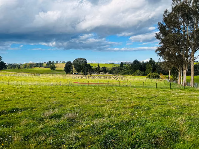 VASS vende parcela 5.000 m² en Hacienda Llanquihue, Puerto Varas