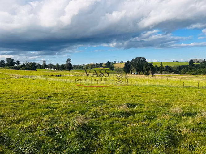 VASS vende parcela 5.000 m² en Hacienda Llanquihue, Puerto Varas