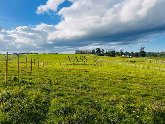 VASS vende parcela 5.000 m² en Hacienda Llanquihue, Puerto Varas