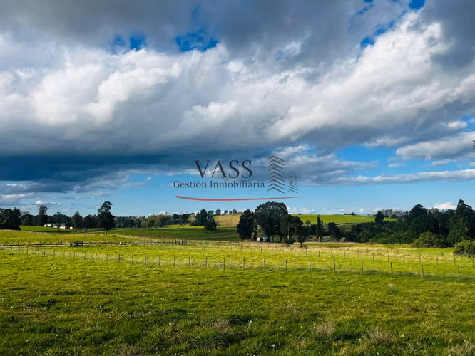VASS vende parcela 5.000 m² en Hacienda Llanquihue, Puerto Varas