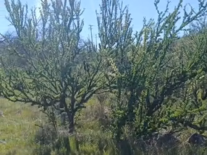 Parcela Las Animas del lago Rapel