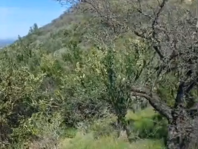Parcela Las Animas del lago Rapel