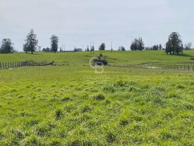 Parcela en venta -   Río Negro