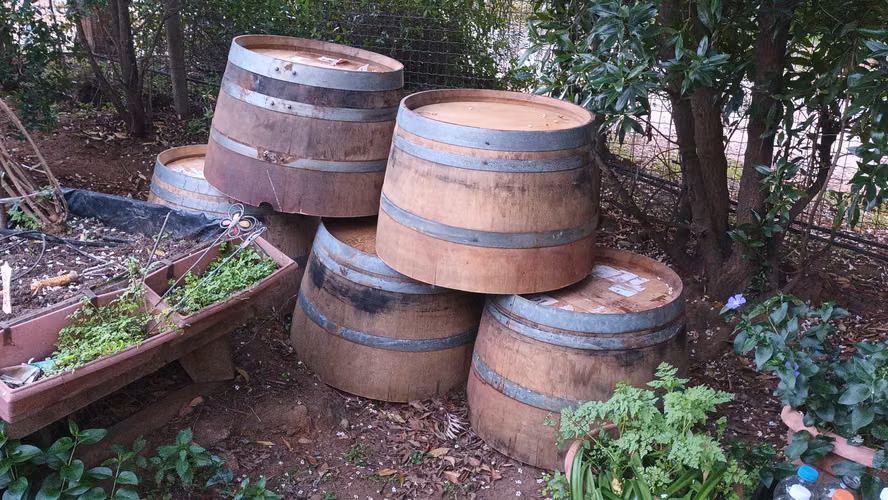 Maceteros de Roble de 1/2 Barricas
