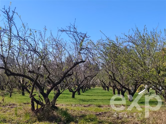 PARCELA Los Almendrales de Nos - Parcela #11 , Comuna de Buin - Imagen 15