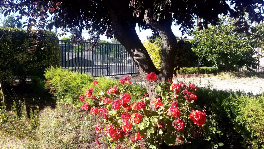 Venta amplia parcela con casa Chiguayante (119275)