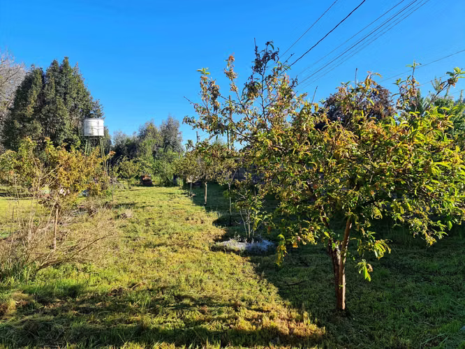 Venta amplia parcela con casa Chiguayante (119275)