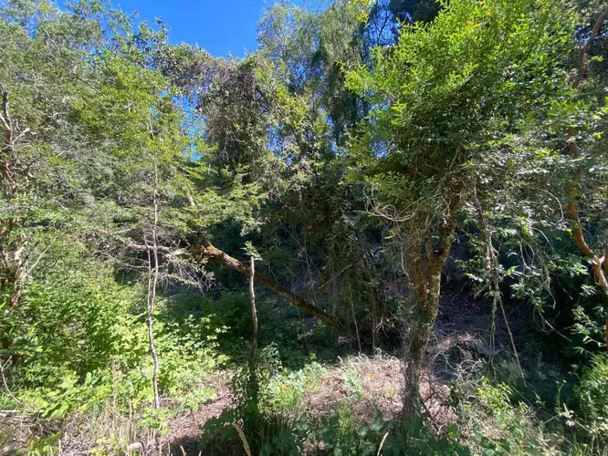 VENTA PARCELA VILLARRICA, Sector Putue