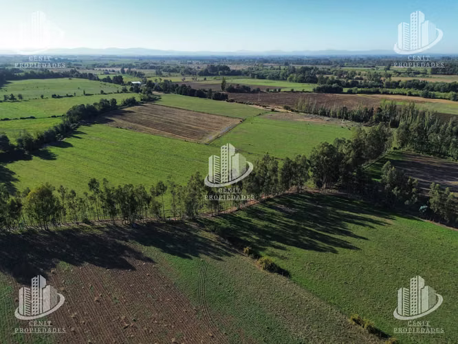 TERRENO PARA LOTEAR, SAN CLEMENTE, TALCA