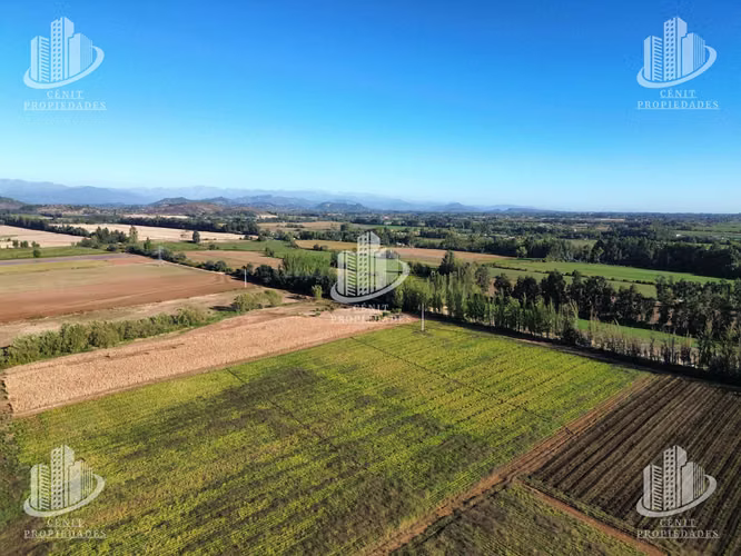 TERRENO PARA LOTEAR, SAN CLEMENTE, TALCA