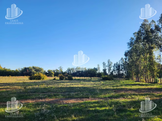 TERRENO PARA LOTEAR, SAN CLEMENTE, TALCA
