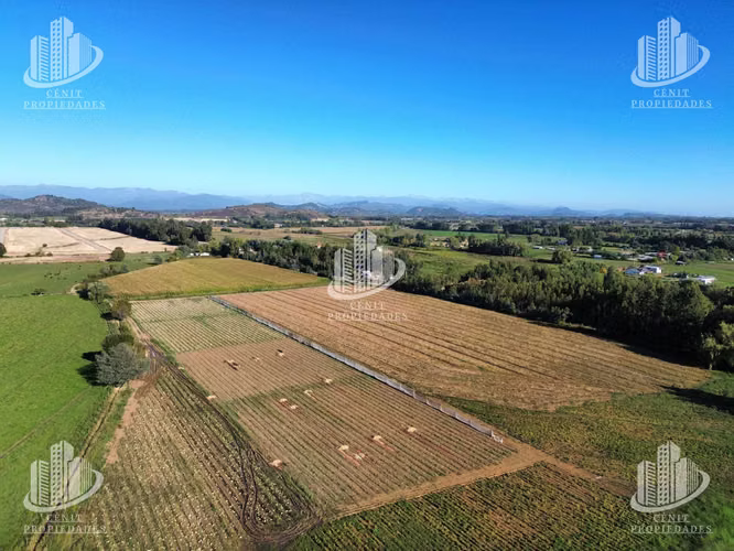 TERRENO PARA LOTEAR, SAN CLEMENTE, TALCA