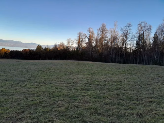 Parcelas al norte del lago Villarrica