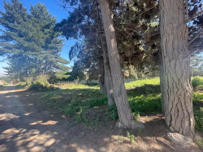 Sitio SE VENDE TERRENO EN LOS PINOS, REÑACA (CÓD. 537)