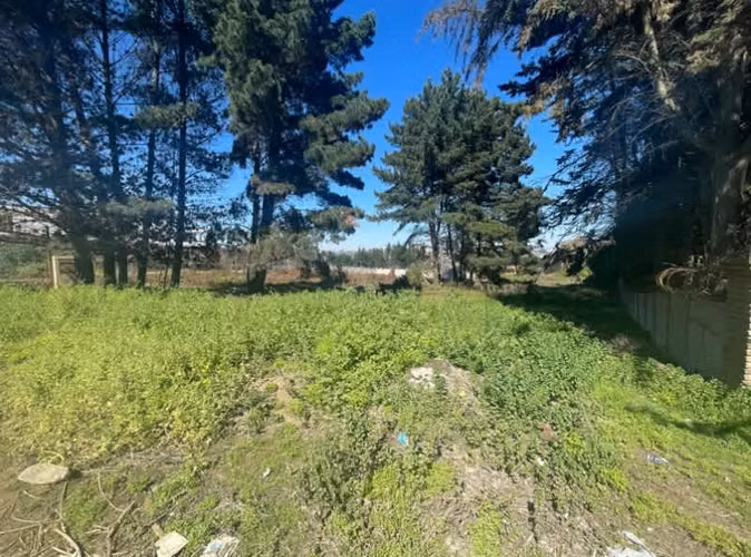 Sitio SE VENDE TERRENO EN LOS PINOS, REÑACA (CÓD. 537)